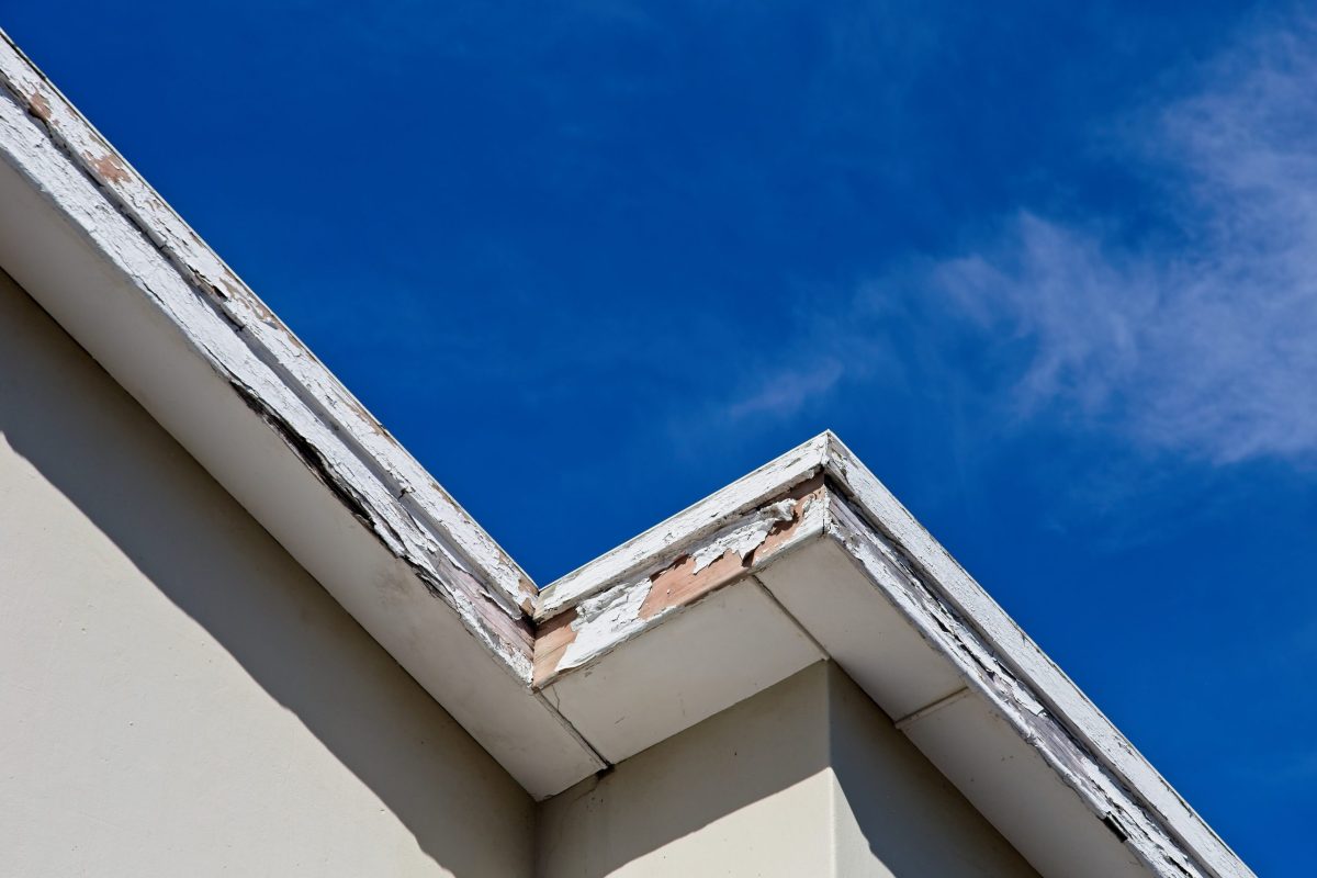 white fascia and soffit repair