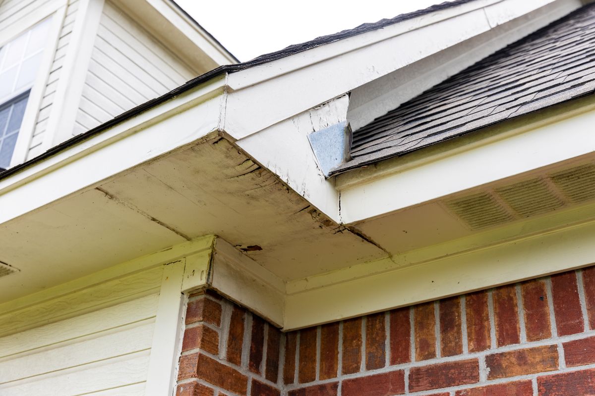 yellow fascia damaged
